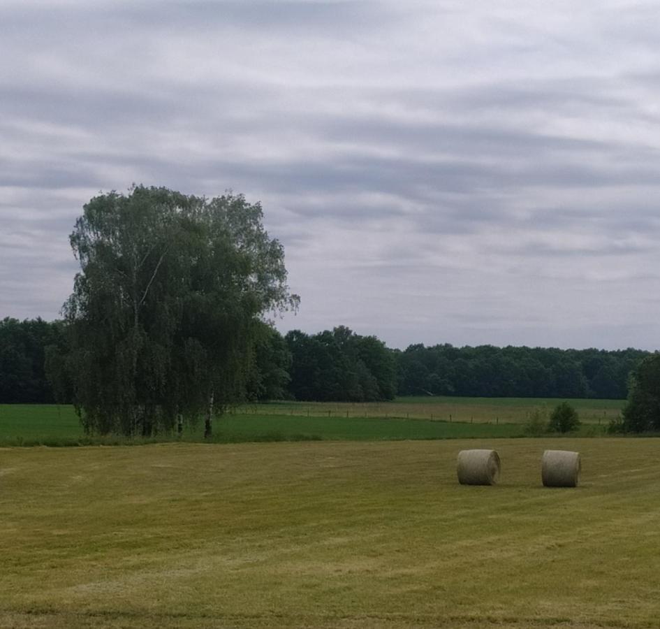 Ubytovani U Sobotku Třeboň Eksteriør bilde